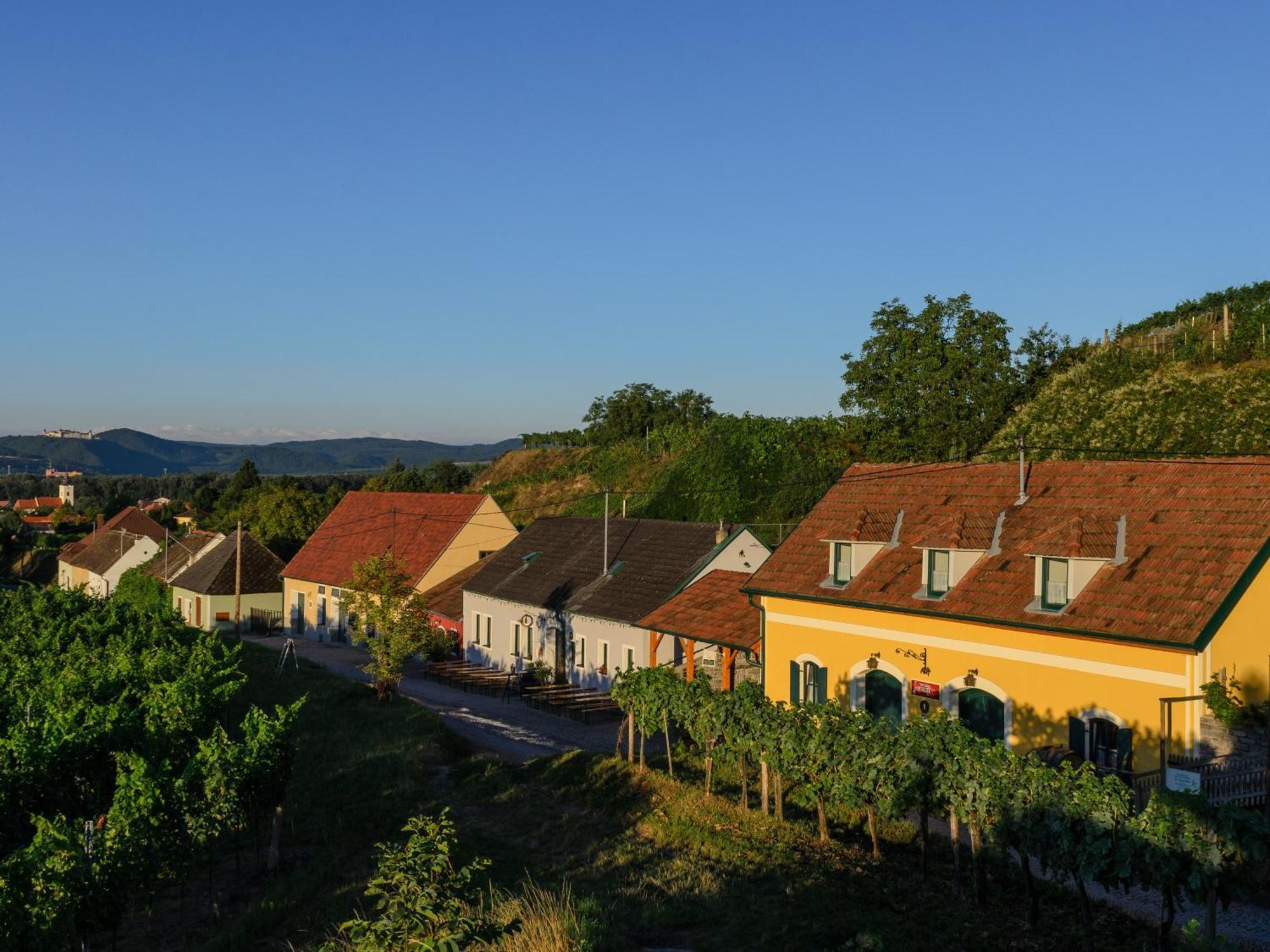 Gaestehaus Familie Trachsler Hotel Rohrendorf bei Krems ภายนอก รูปภาพ