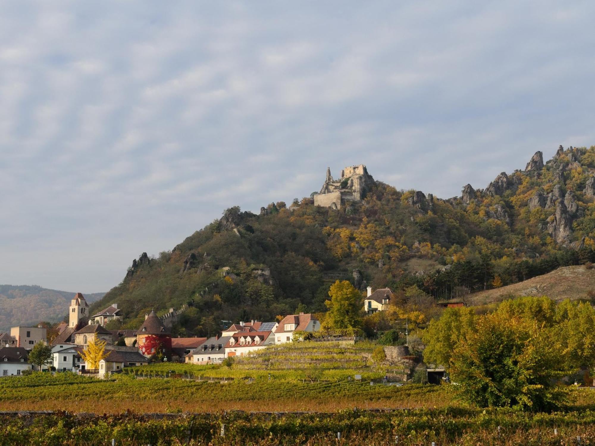 Gaestehaus Familie Trachsler Hotel Rohrendorf bei Krems ภายนอก รูปภาพ